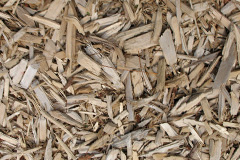 biomass boilers Brascote