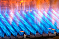 Brascote gas fired boilers